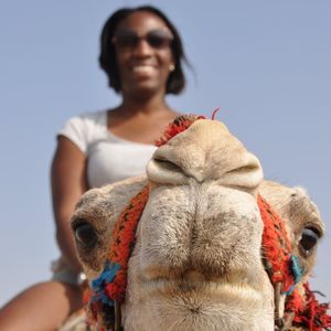 Meet your Posher, Simone